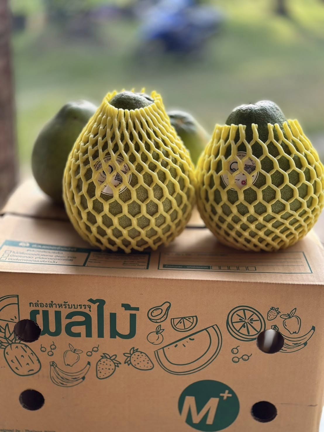 ส้มโอทับทิมสยามอินทรีย์