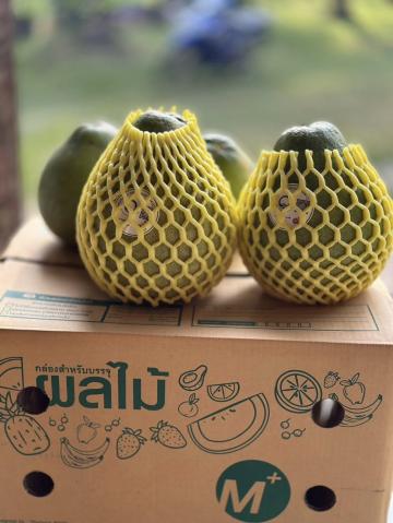 ส้มโอทับทิมสยามอินทรีย์